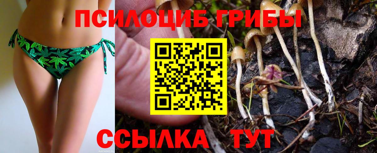 Орехово-Зуево  Галлюциногенные грибы Cubensis  Вход с VPN 
