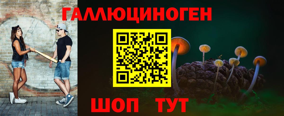 Псилоцибиновые грибы прущие грибы Орехово-Зуево